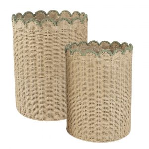 PONGOTODOS BICOLOR VERDE