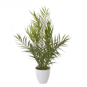 PLANTA PALMA PP-PE 20 X 20 X 42 CM