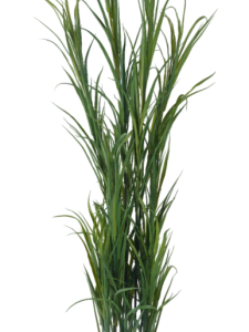 PLANTA PE PP 40X40X120 VERDE