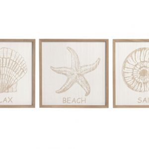 CUADRO MDF 40X2X40 CONCHA 3 SURT.