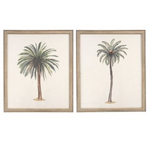 CUADRO 50X60 PALMERAS 50 x 1.7 x 60cm